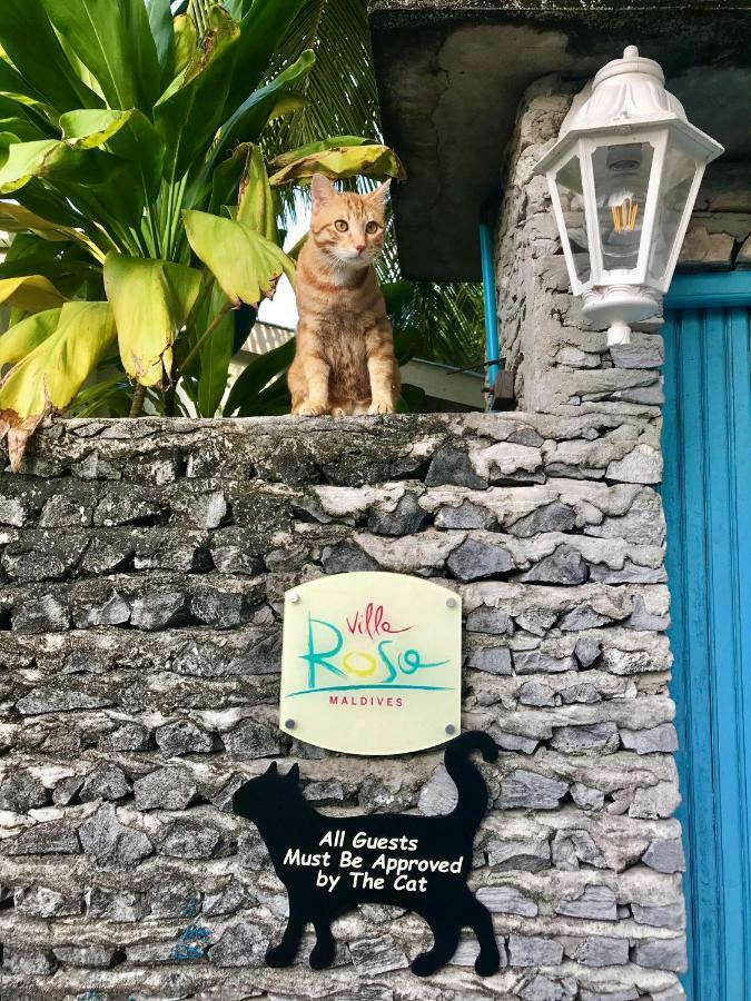 Villa Rosa Maldives Feridhoo ภายนอก รูปภาพ